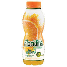 FLORIDINA JUICE PULP ORANGE BTL 350mL